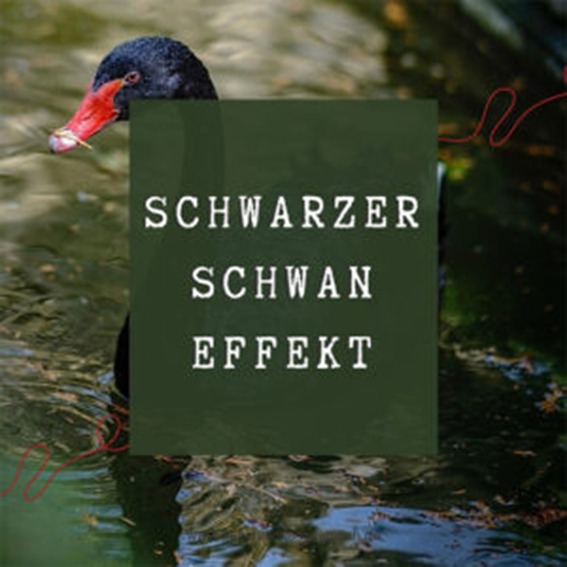 Schwarzer Schwan als Symbol für unerwartete Krisen, Resilienz und die Fähigkeit, mit Veränderungen umzugehen