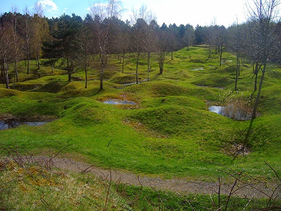 Ehemaliges Schlachtfeld des Ersten Weltkriegs nahe dem Beinhaus von Douaumont bei Verdun, heute von Gras überwachsen und stiller Erinnerungsort