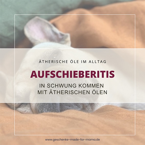 Erschöpfter Hund liegt am Boden – Symbol für Aufschieberitis. Mit ätherischen Ölen neue Energie und Motivation finden.
