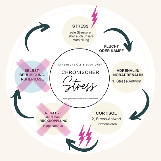 Chronischer Stress - ständig zu viel Kortisol im Blut Generationengespräch
